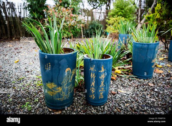 Blue tall pots in a Japanese garden in the rain Stock Photo - Alamy Blue tall pots in a Japanese garden in the rain Stock Photo - Alamy